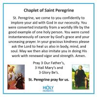 Chaplet of St Peregrine, Sterling Silver Medal & Crucifix, Black Obsidian Gemstone Beads, Antique Replicas, Patron Saint of Cancer Patients